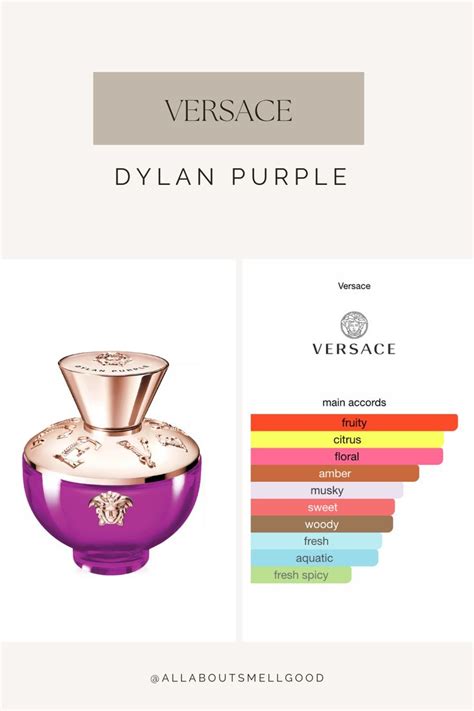 versace purple dylan notes